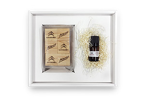 シトロエンに試乗してペーパークラフトをもらおう