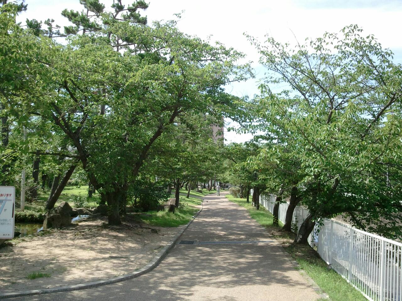 石屋川だより　８