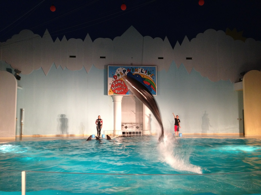 トワイライトライブ