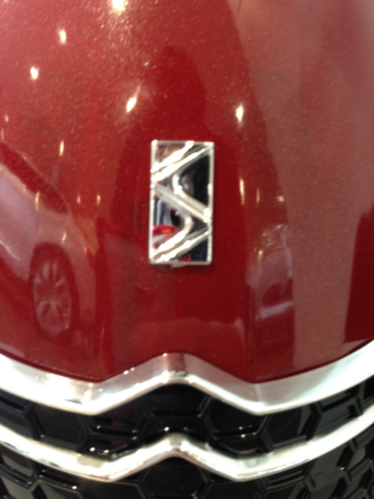 ＤＳ ＬＩＮＥ　に　新型登場！！