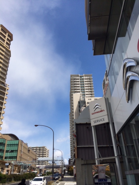 晴れてきました～！