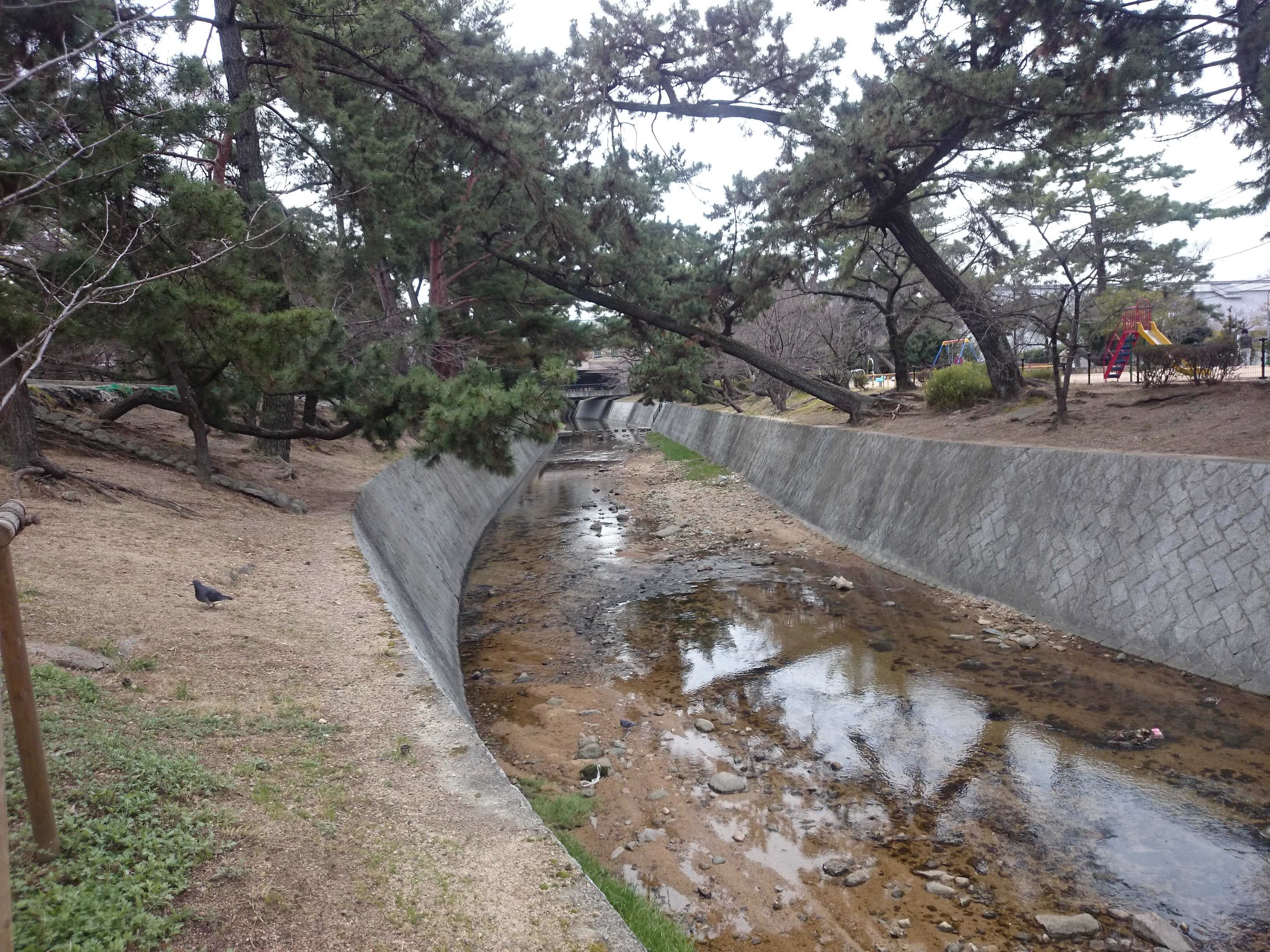 夙川だより