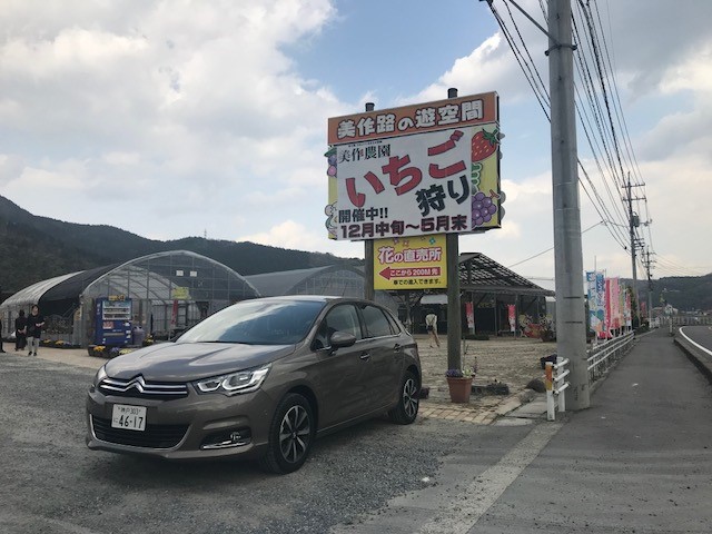 シトロエンでいちご狩りに行きました