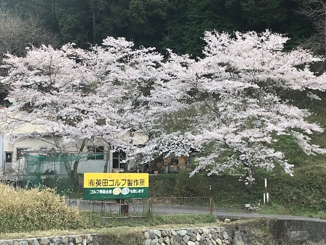 シトロエンでいちご狩りに行きました