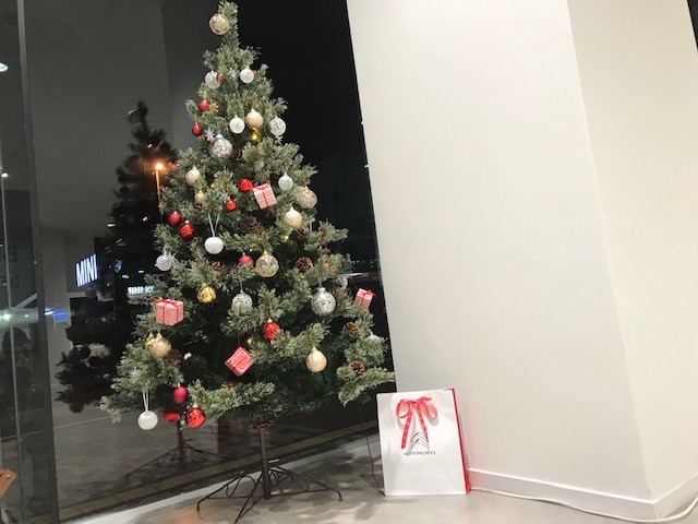 クリスマスツリー登場！