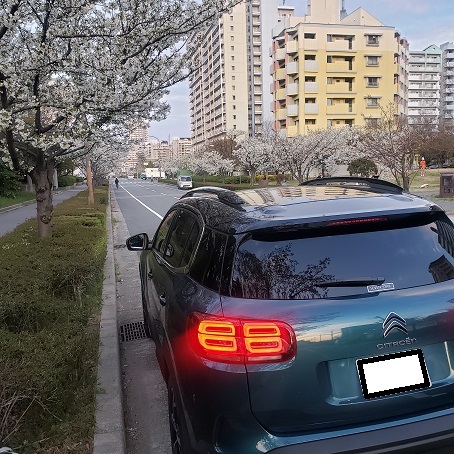 桜と夕日とシトロエン