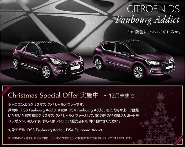Christmas Special Offer