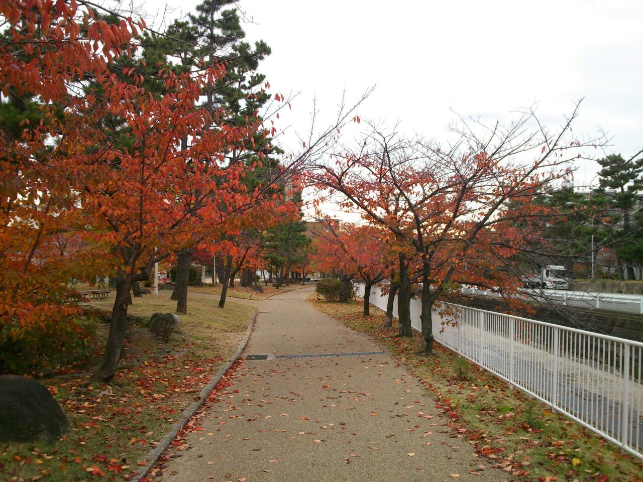 石屋川だより　９
