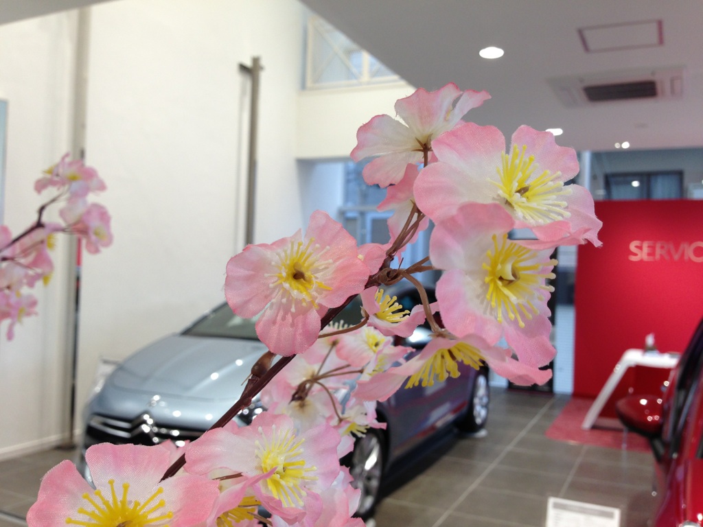 天気の悪いこんな日には