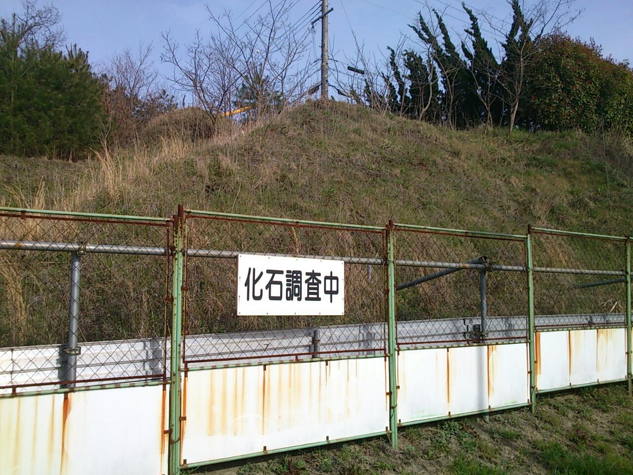 ココ掘れワンワン