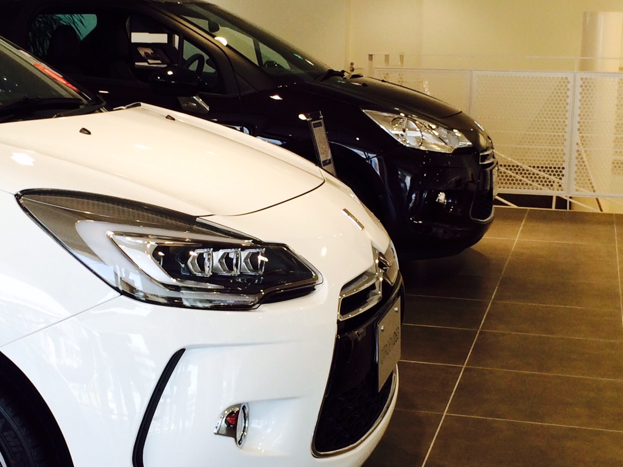 DS3カブリオ展示中です。