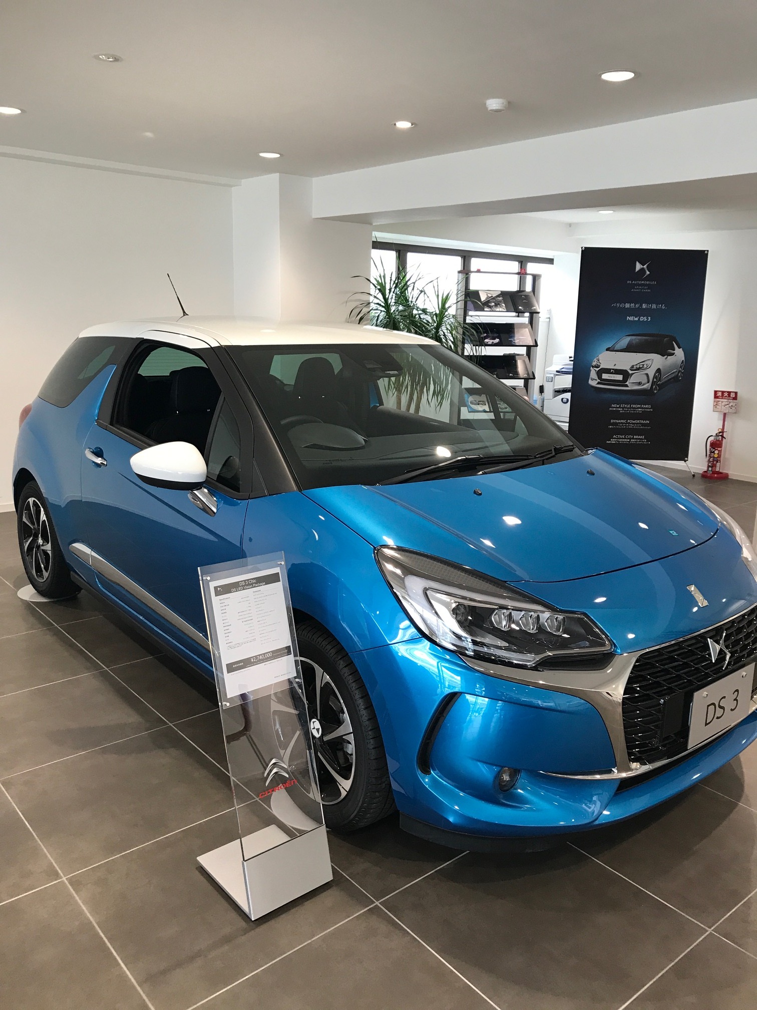 ＤＳ３
