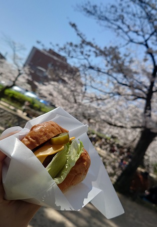 お花見日和！