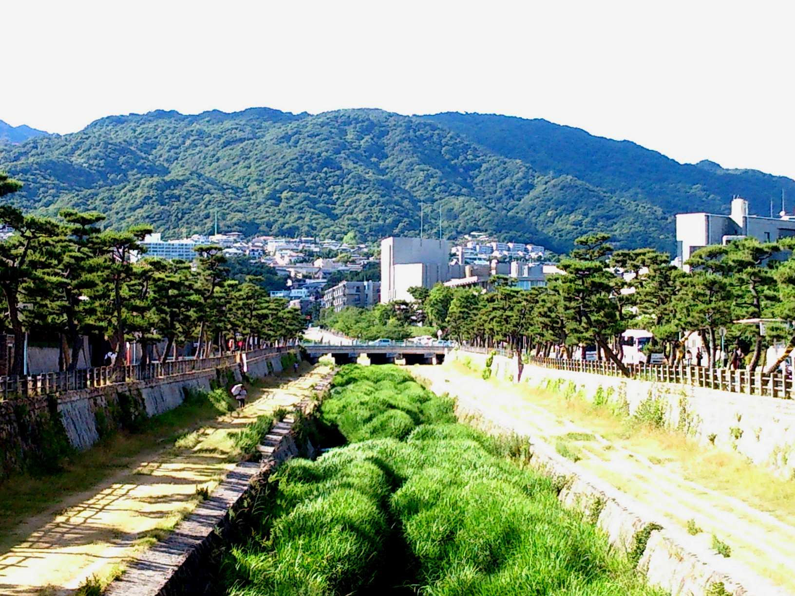 芦屋川