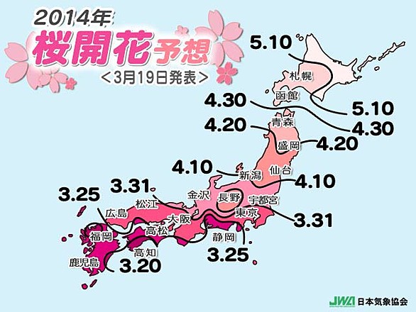 開花