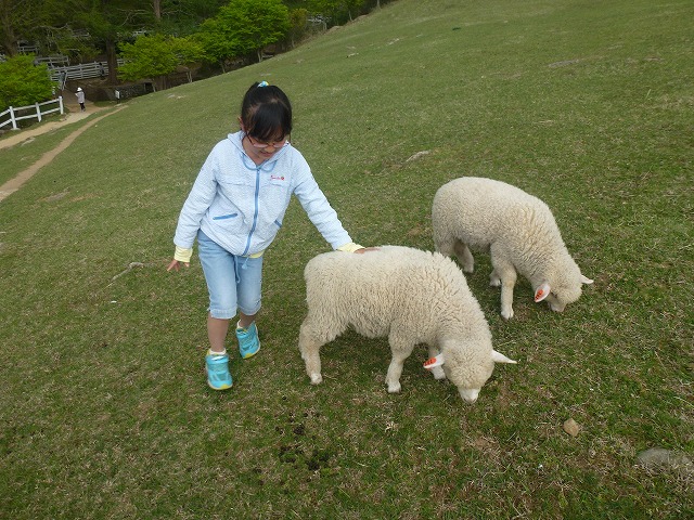 子供