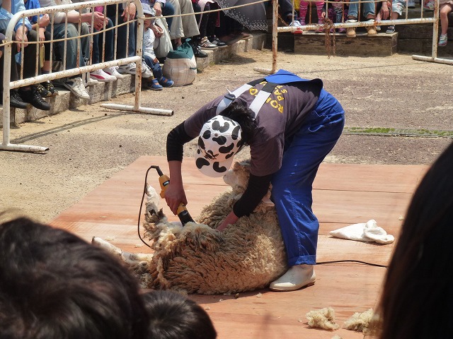 子供