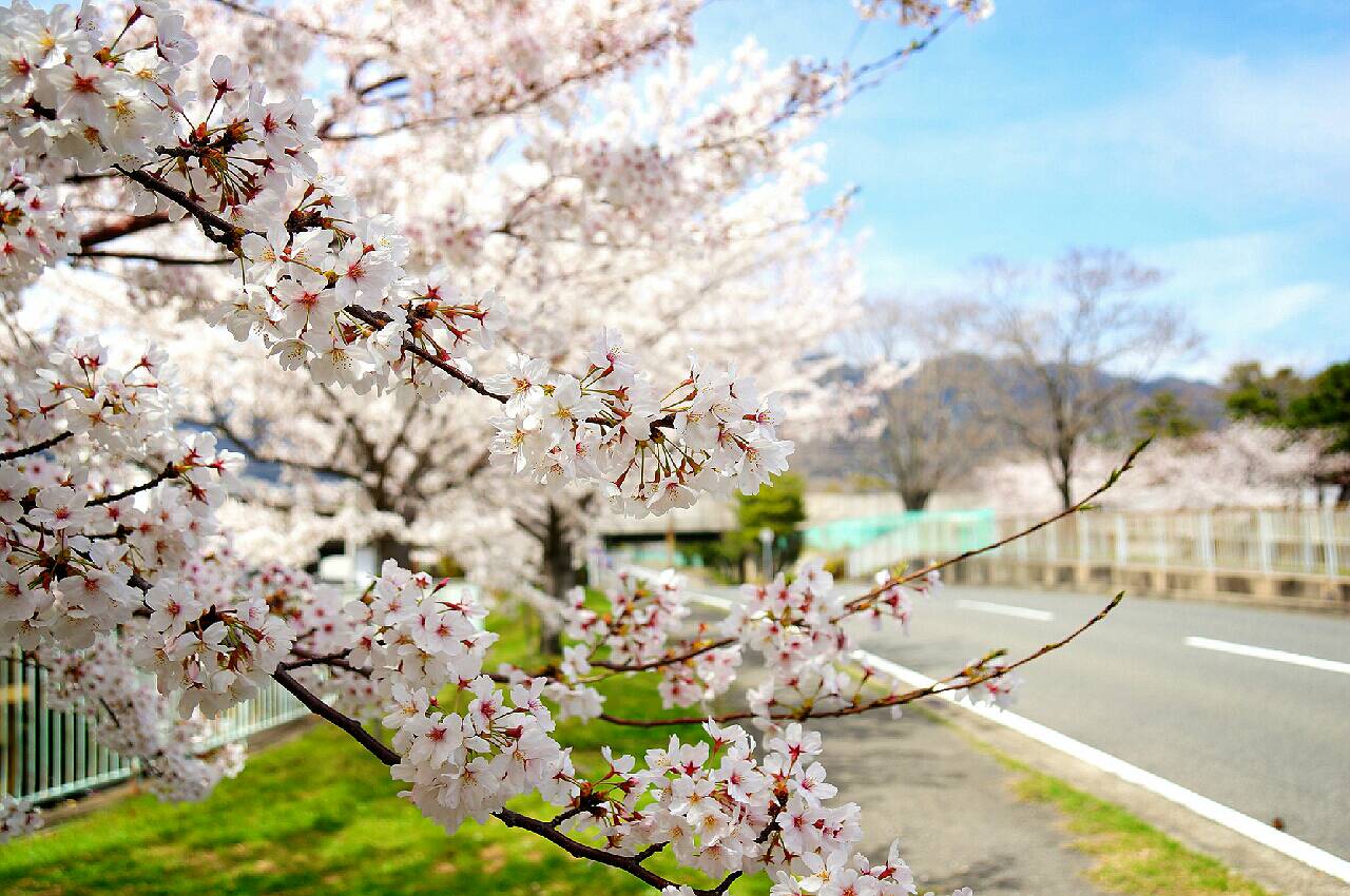 石屋川だより２２