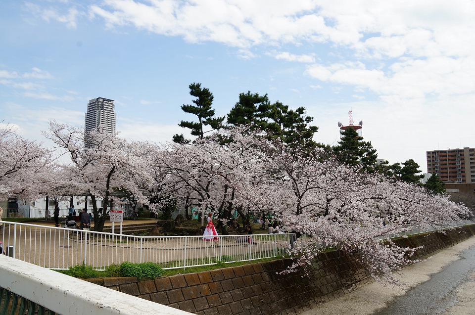 石屋川だより２２