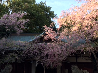 保久良神社