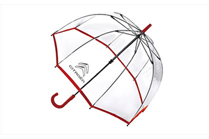 シトロエンの傘