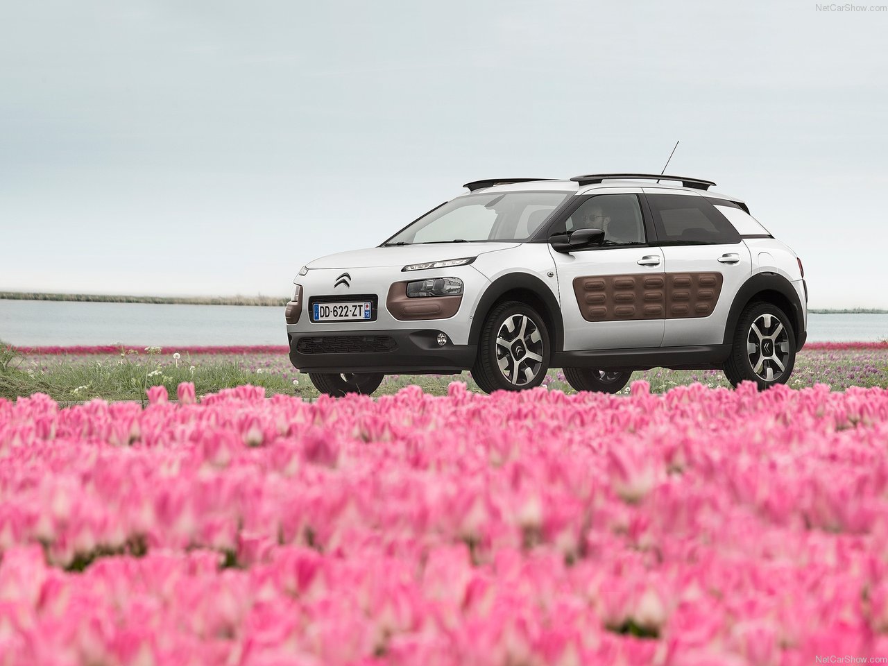 #LOVE C4 CACTUS