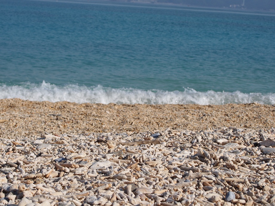 沖縄女子旅！！