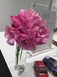 ピンクのバラ♪