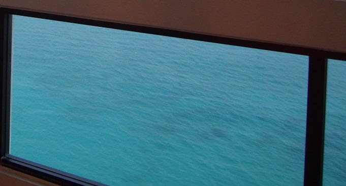 こだわりのボディ・カラー★