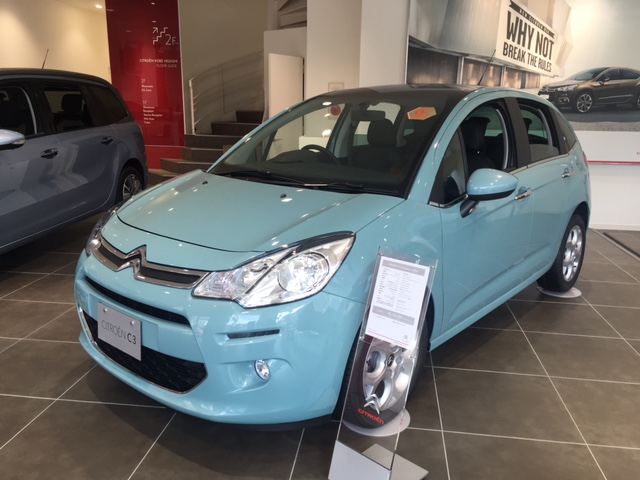 ニューカラー　限定で登場！