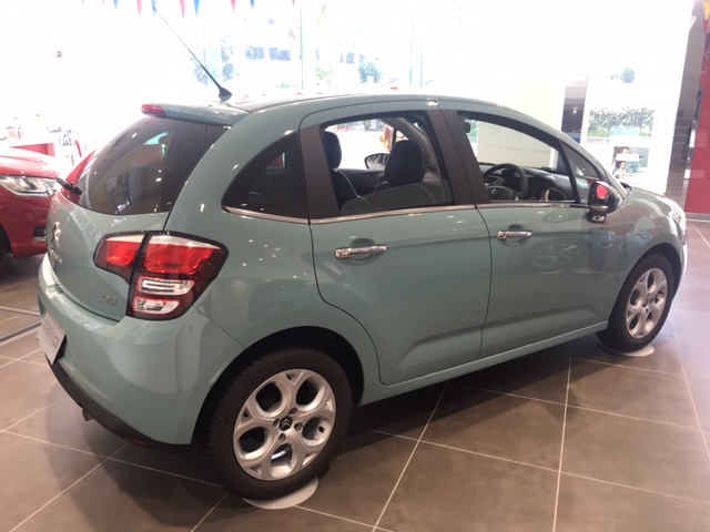 ニューカラー　限定で登場！