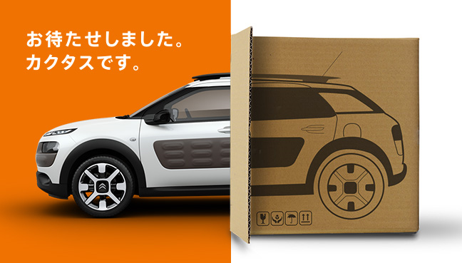 お待たせしました。カクタスです！