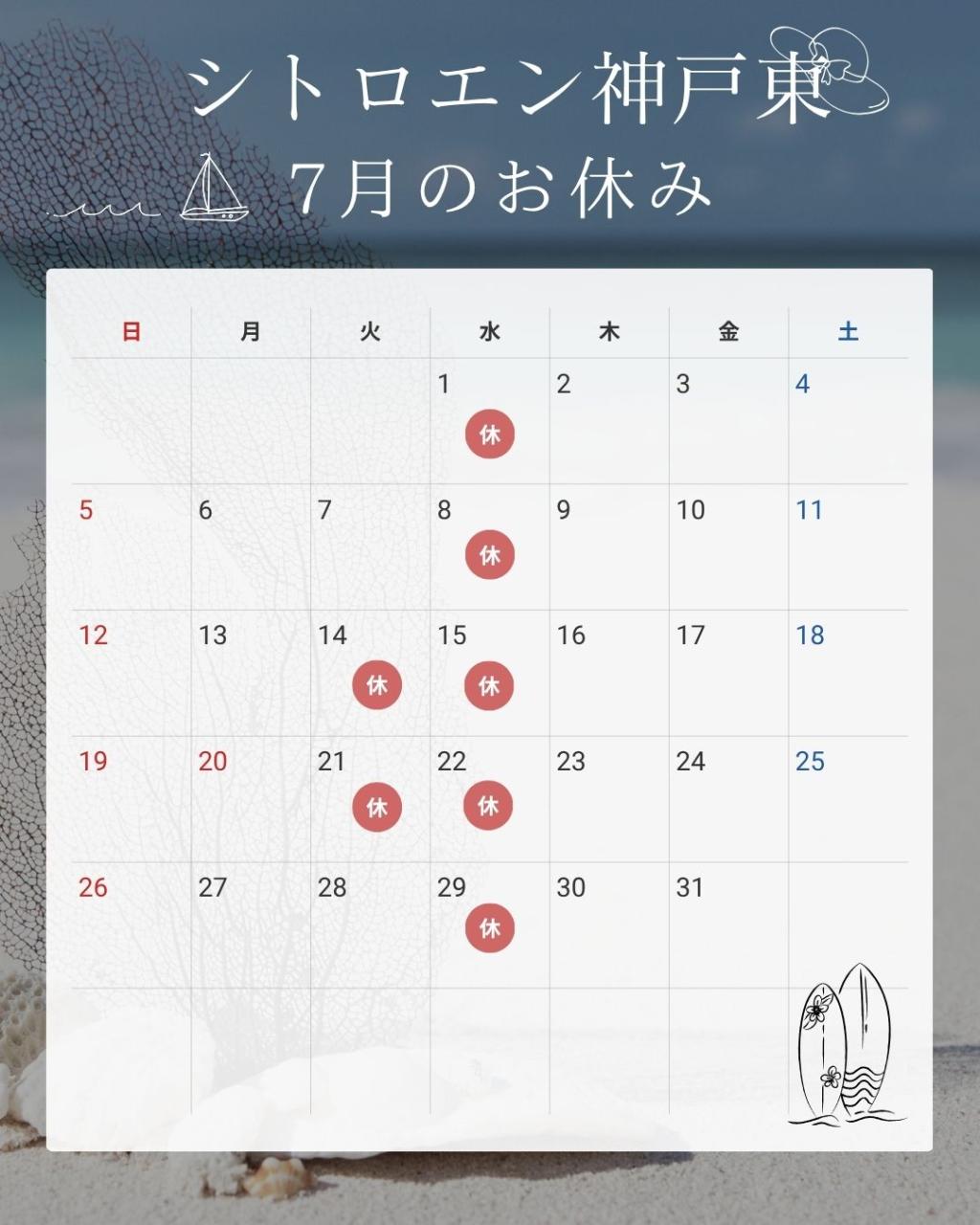 7月のお休みのお知らせ🌻