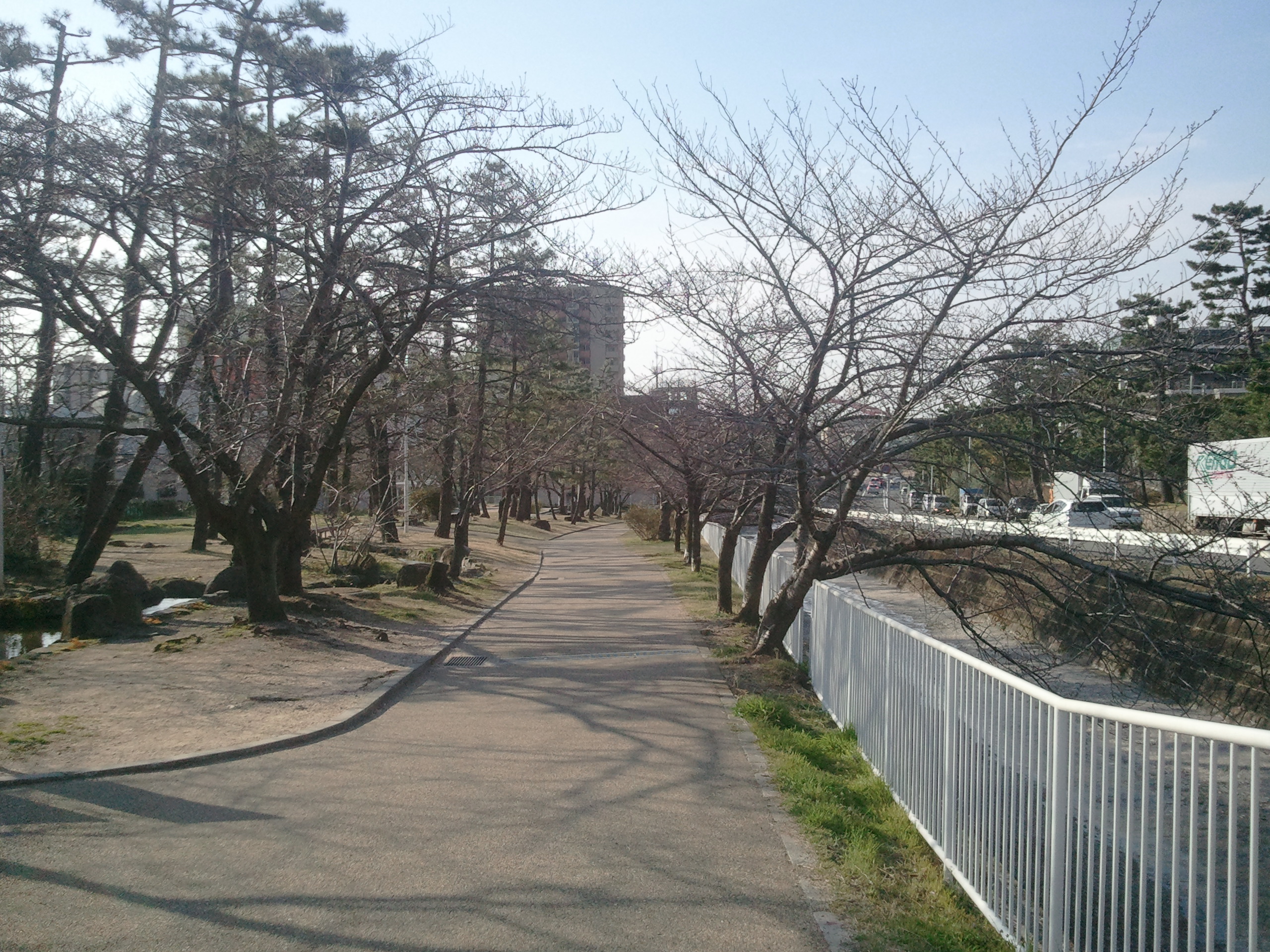 石屋川だより