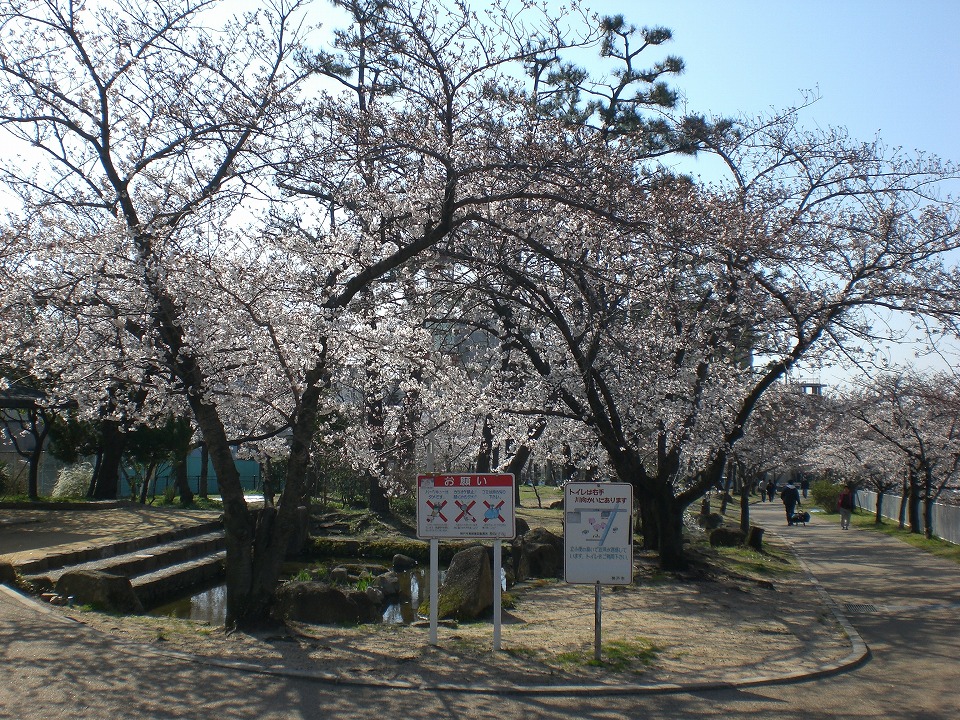 石屋川だより　５