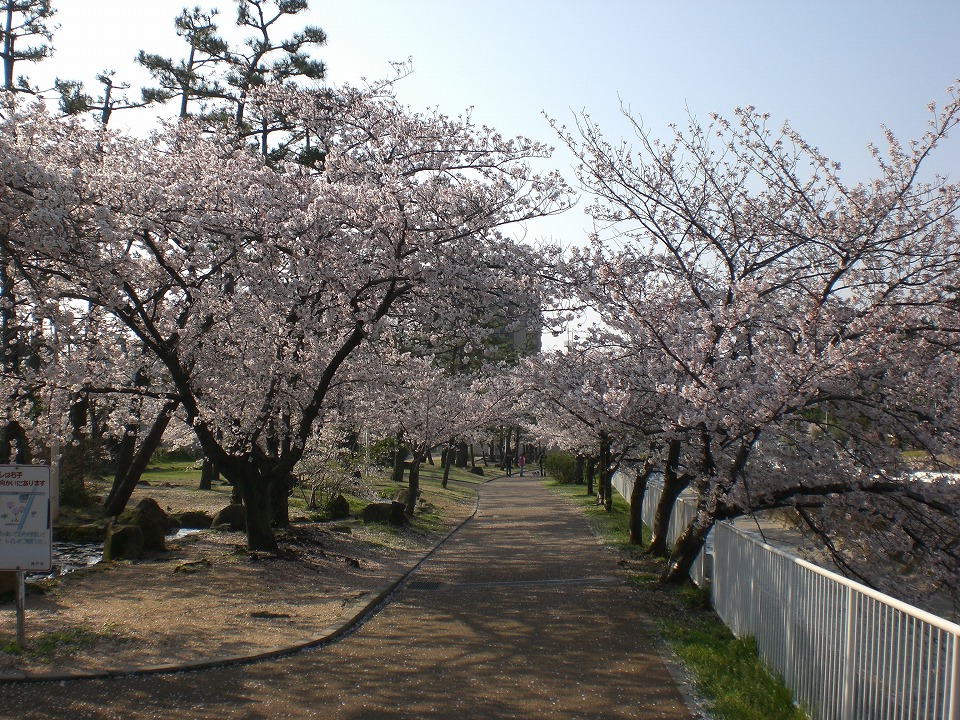 石屋川だより　６