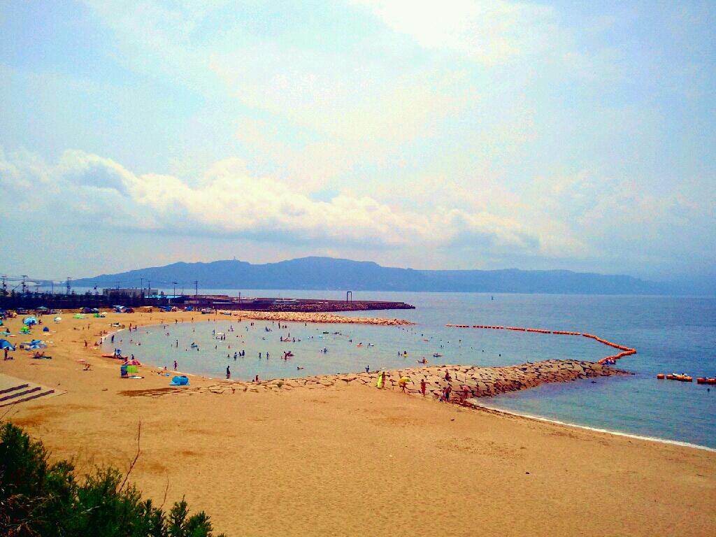 夏の海と言えば・・・