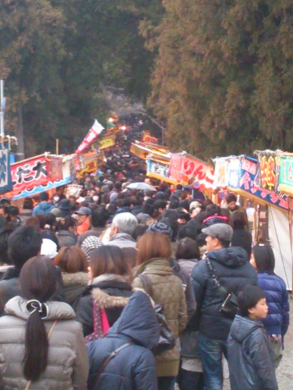 今年の初詣はココ