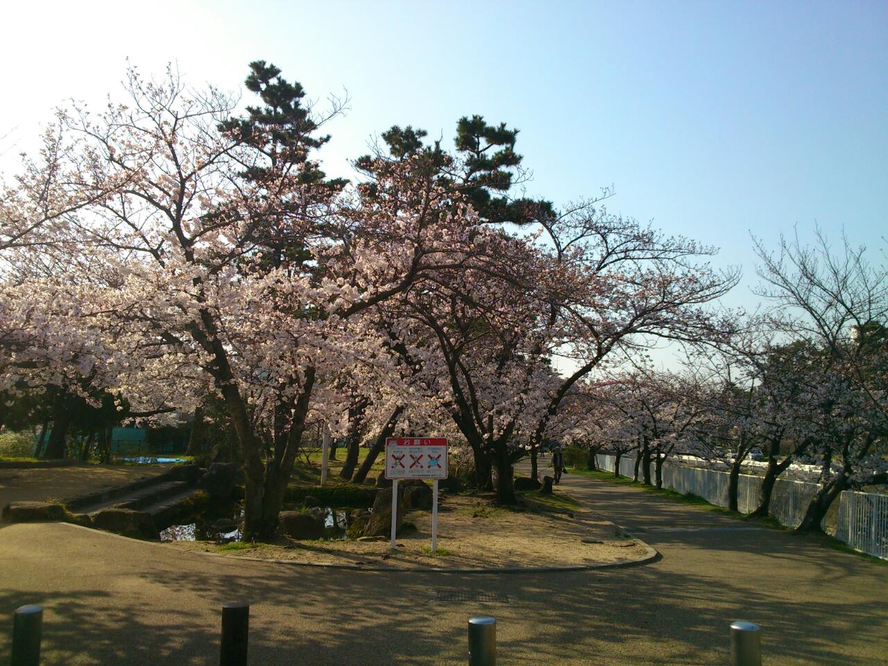 石屋川だより　１４