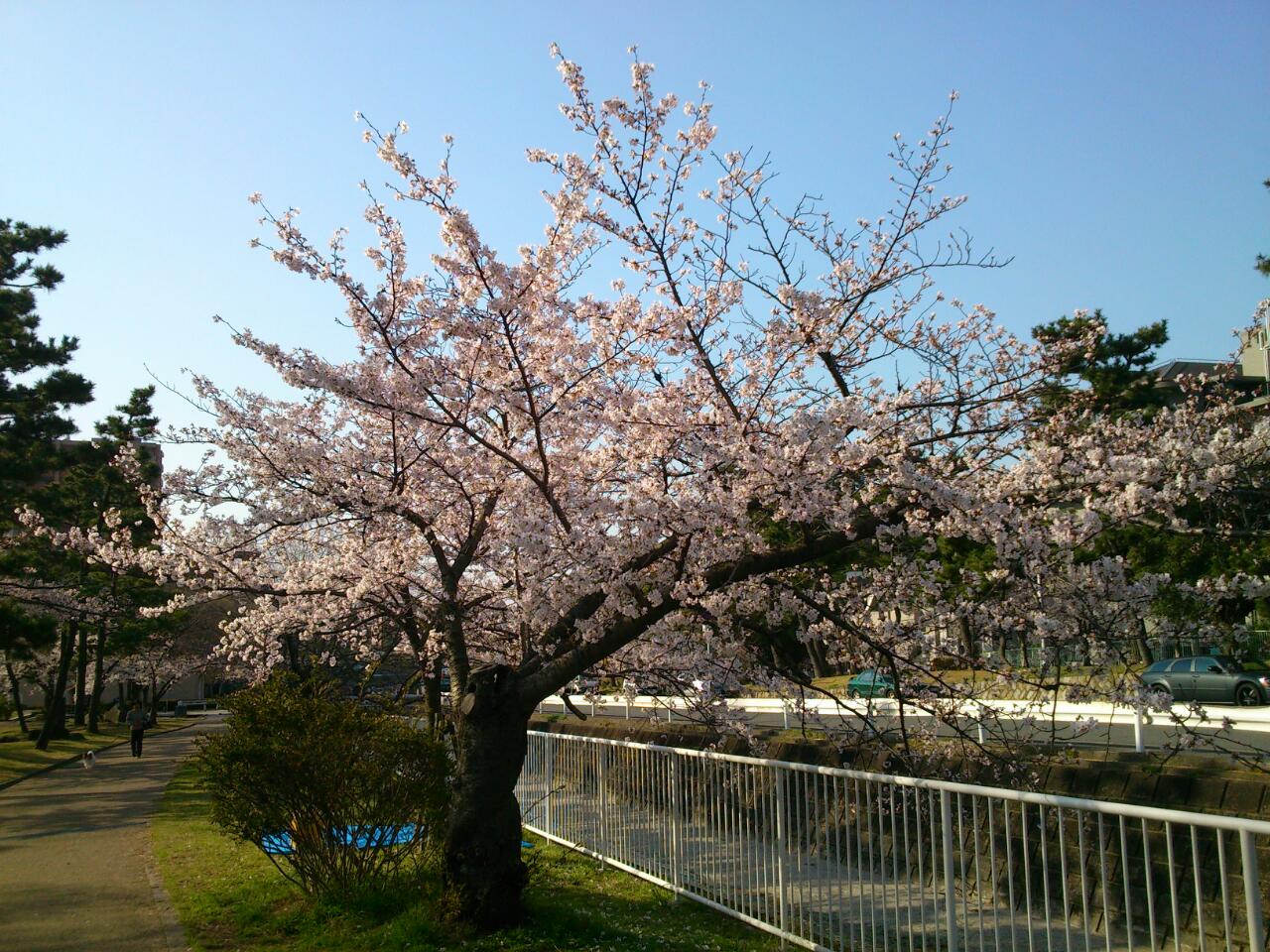 石屋川だより　１４