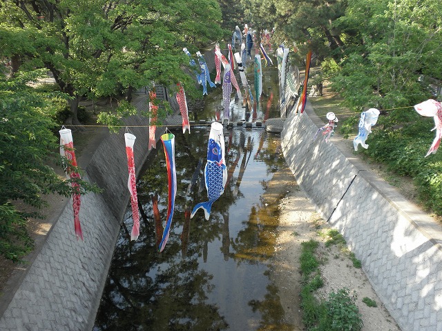 夙川公園にて