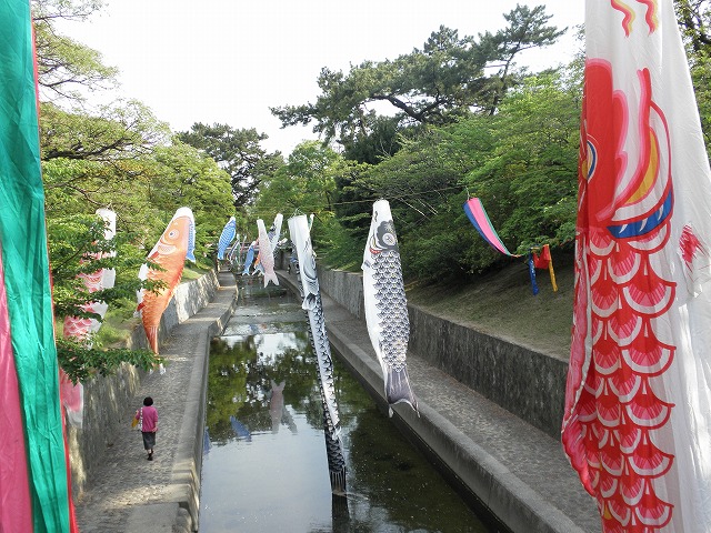 夙川公園にて