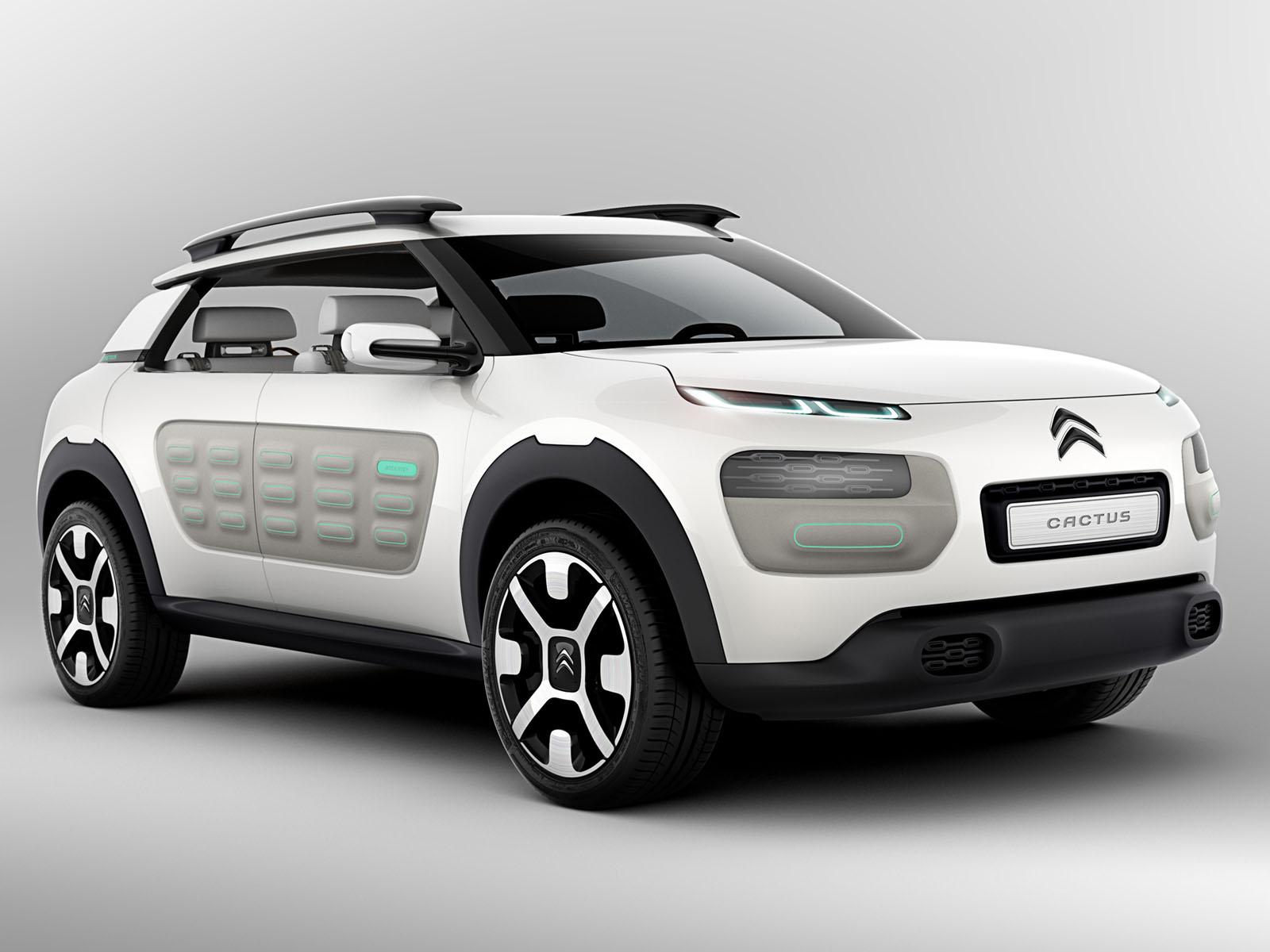 C4 Cactus ティーザーサイト オープン！