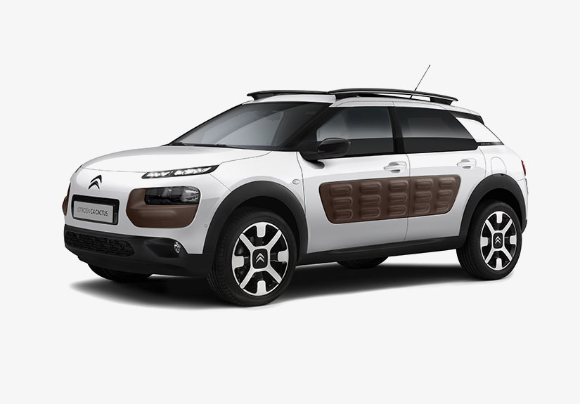 Ｃ４ ＣＡＣＴＵＳ　動画