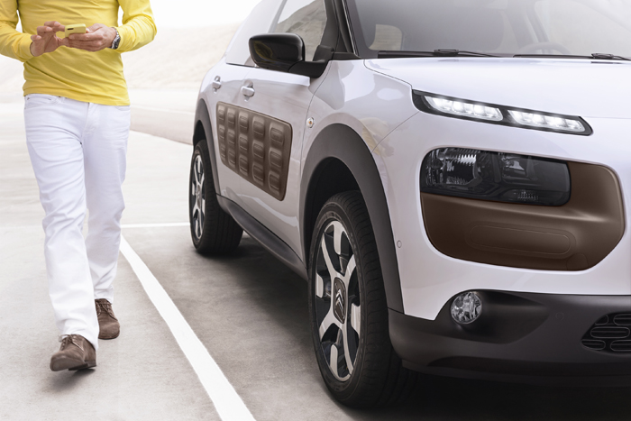 C4 Cactus Experts:The concept 