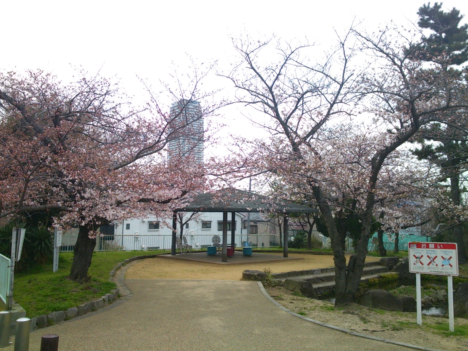 石屋川だより１９