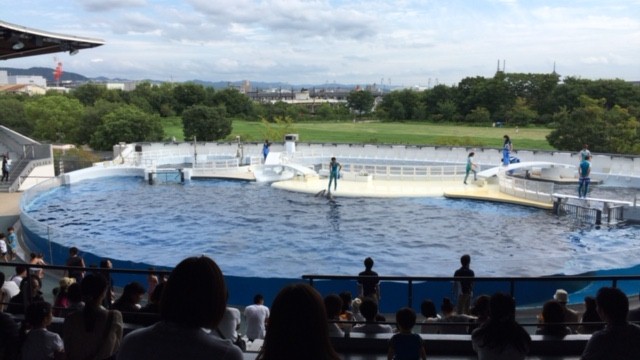 京都水族館●･ﾟ