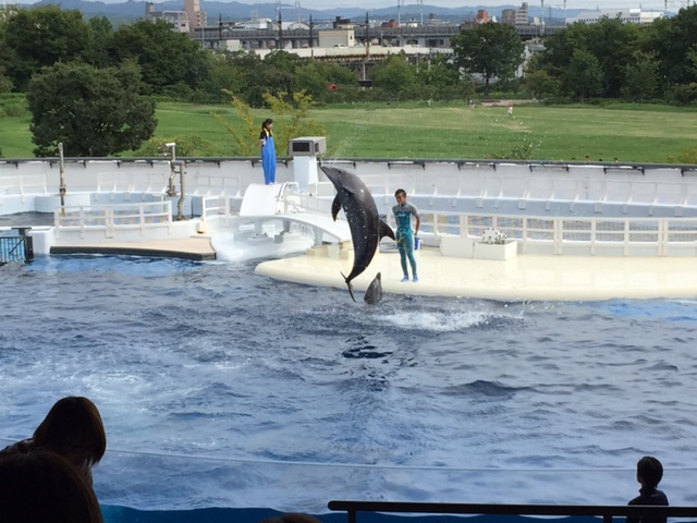 京都水族館●･ﾟ