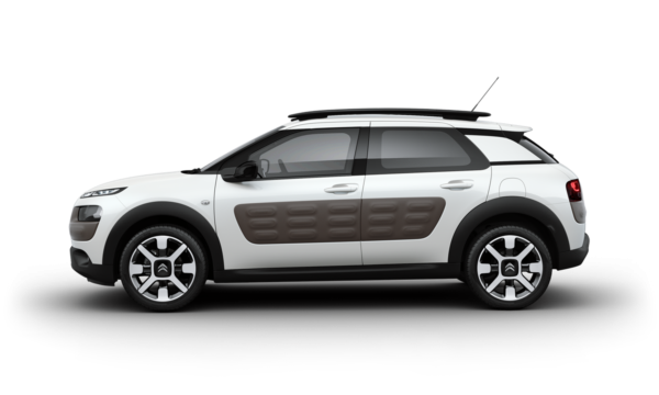 C4 CACTUS Color!