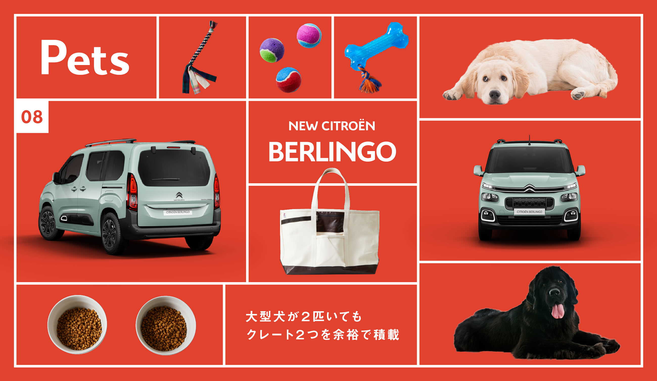 BERLINGO × Pets